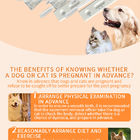 Εγχειρίδιο οδηγιών για τα σκυλιά και τις γάτες προμηθευτής