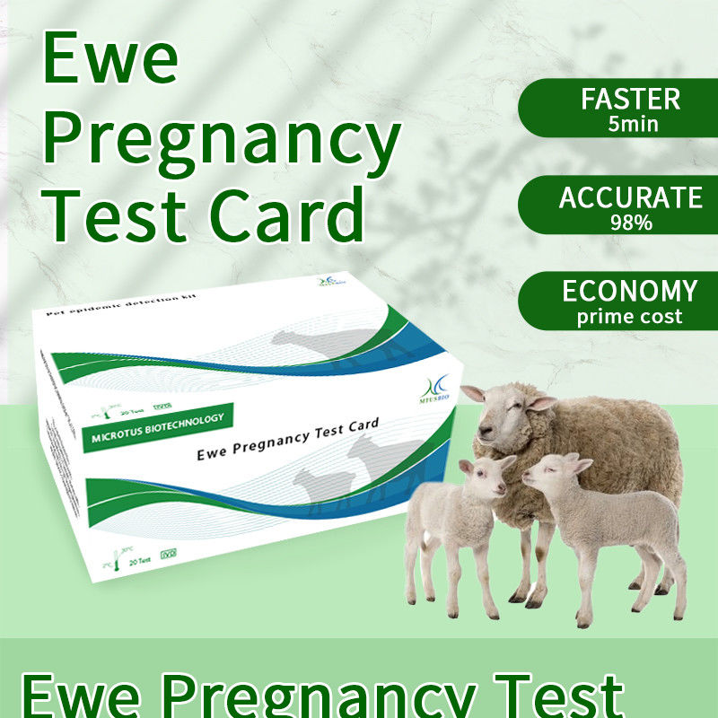 Οδηγίες για την κάρτα δοκιμής πρώιμης εγκυμοσύνης προβάτων προμηθευτής