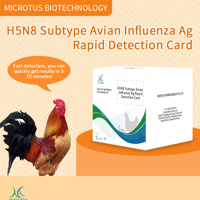 Οδηγίες για την κάρτα ταχείας ανίχνευσης αντιγόνου της γρίπης των πτηνών (H5N8) προμηθευτής